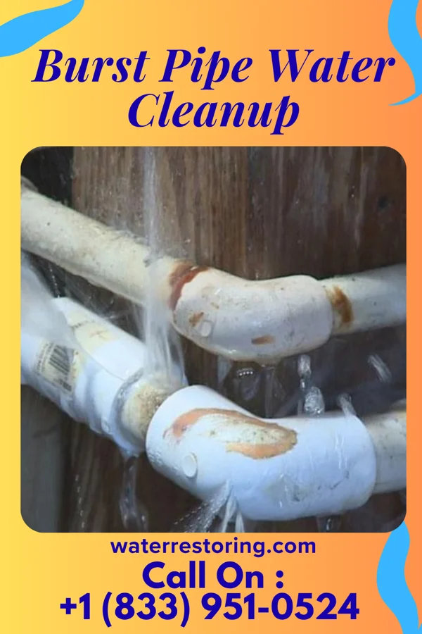 Burst Pipe Water Cleanup in Penn State Berks, PA