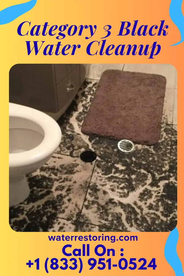 Category 3 Black Water Cleanup in Penn State Berks, PA