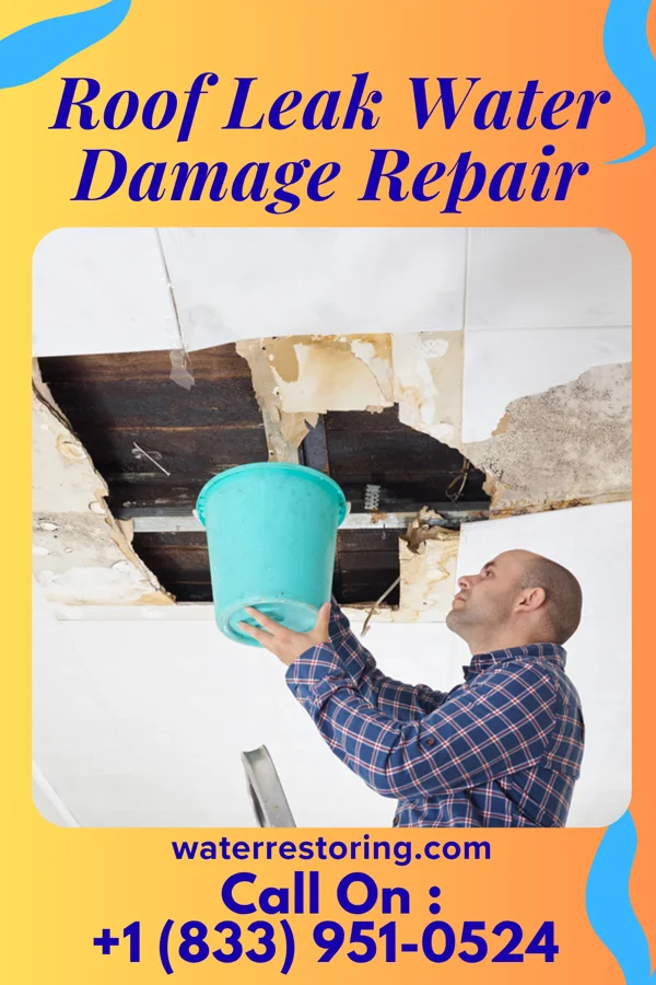 Roof Leak Water Damage Repair in Penn State Berks, PA