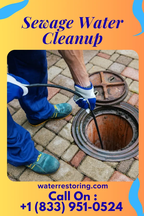 Sewage Water Cleanup in Penn State Berks, PA